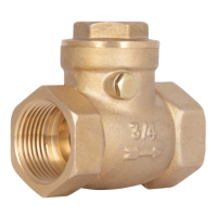 Зворотний клапан пелюстковий Thermo Alliance 3/4" ВВ (низького тиску)
