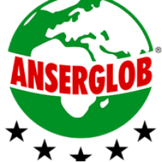 Грунтовка ANSERGLOB ES 67 SALT STOP для удаления высолообразований (1л) Грунтовка ANSERGLOB ES 67 SALT STOP для удаления высолообразований (1л)